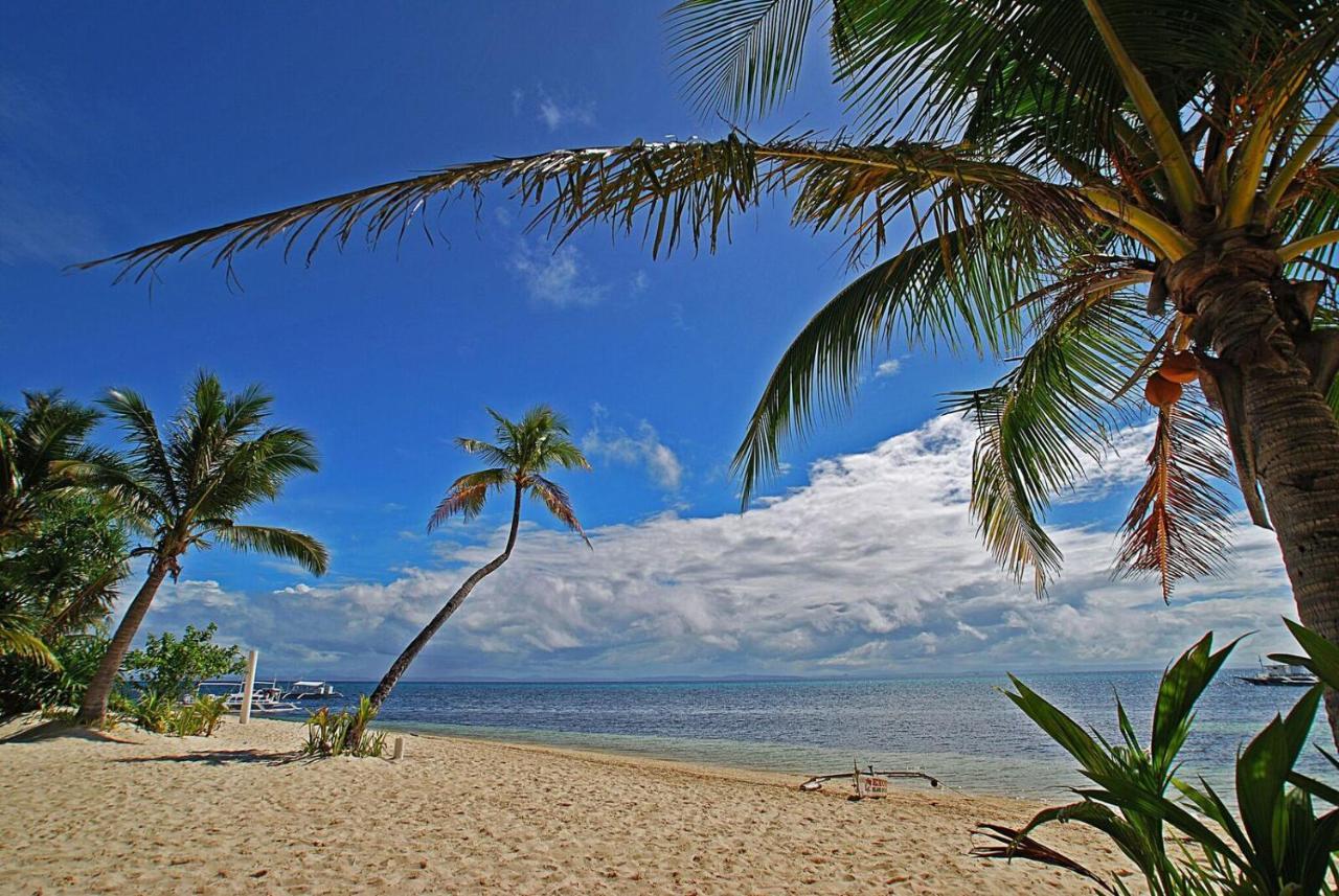 Malapascua Exotic Island Dive Resort Daanbantayan Eksteriør billede